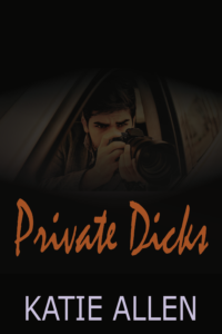 Private Dicks: SANCTUARY Series #1 by Katie Allen